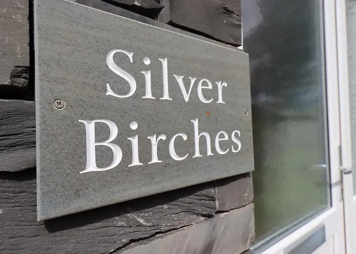 Silver Birches Feriehus Windermere