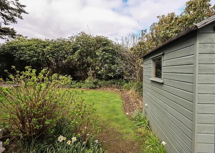 Vakantiehuis Silver Birches *